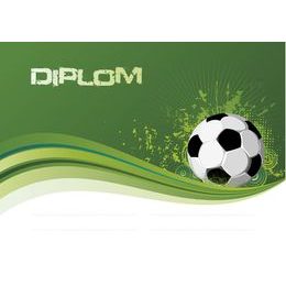 Diplom DP0014