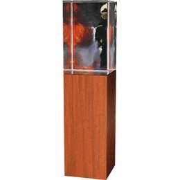 Skleněná trofej - kombinace skla a dřeva CR4021M30