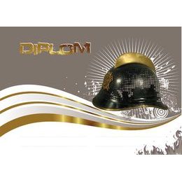 Diplom DP0024