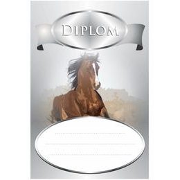 Diplom DP0008