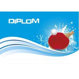 Diplom DP0017