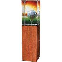 Golftrophäe -Holz-Glas kombination CRG4021M1