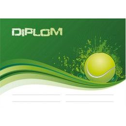 Diplom DP0013