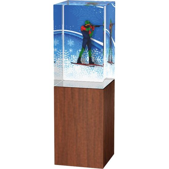 Skleněná trofej - kombinace skla a dřeva CRS4021M23