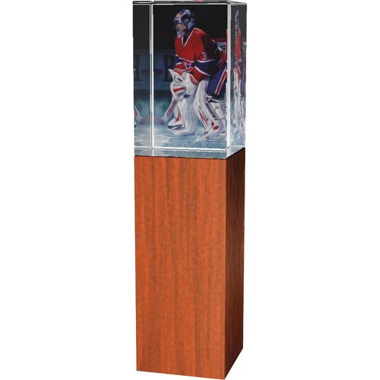 Skleněná trofej - kombinace skla a dřeva CR4021M4