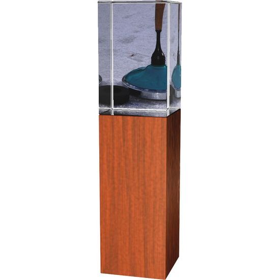 Skleněná trofej - kombinace skla a dřeva CR4021M21