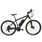 HECHT GRIMIS MATT - Bicicleta electrică