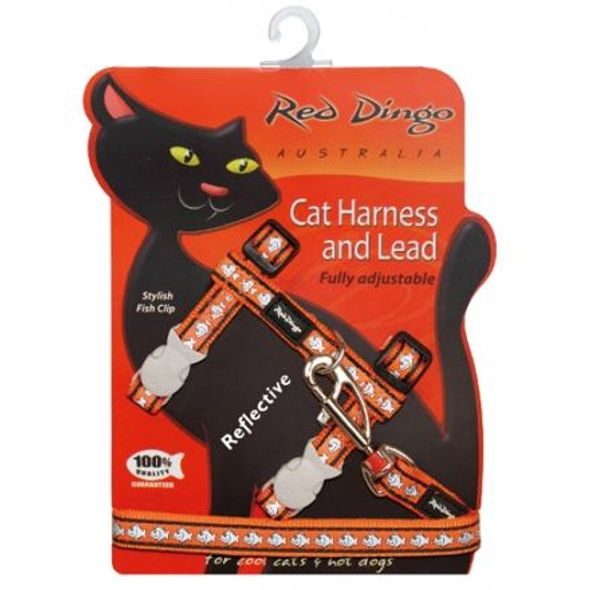 Red Dingo Postroj RD s vodítkem - kočka - Fish Rfx- Oranžová