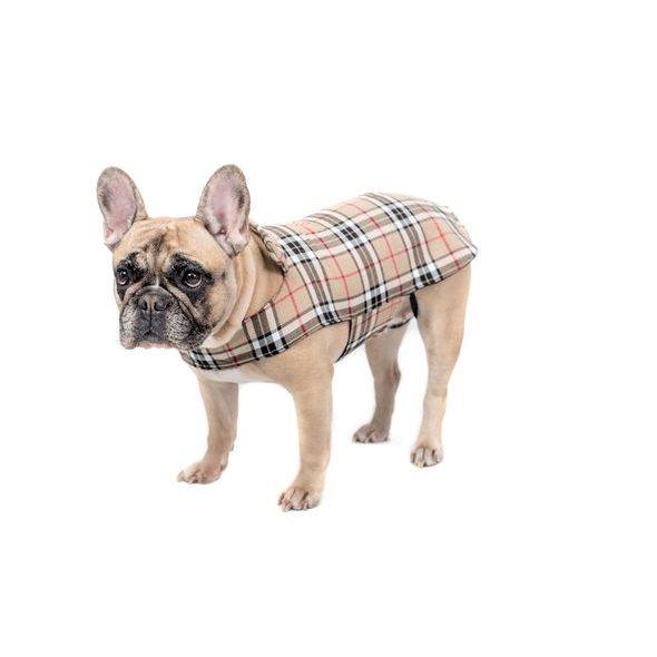 FUNKY DOG Elegantní obleček pro psa - burberry