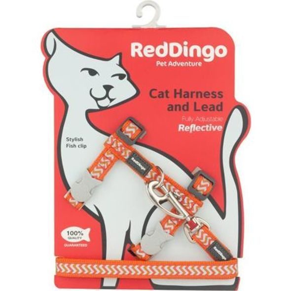 Red Dingo Postroj RD s vodítkem - kočka- Ziggy Rfx- Oranžová