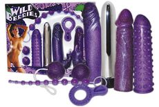 You2Toys Set Wild Berries