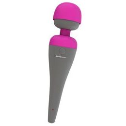 PalmPower Personal Massager