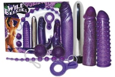 You2Toys Set Wild Berries