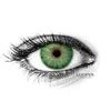 New York N Green Colored Contact Lenses (1 pair)