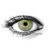 Monet Green Colored Contact Lenses (1 pair)