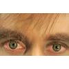 Goblin Eye Contact Lenses (1 pair)