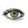 New York N Green Colored Contact Lenses (1 pair)