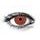SCARLET WITCH Contact Lenses (1 pair)