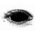 Black Sclera