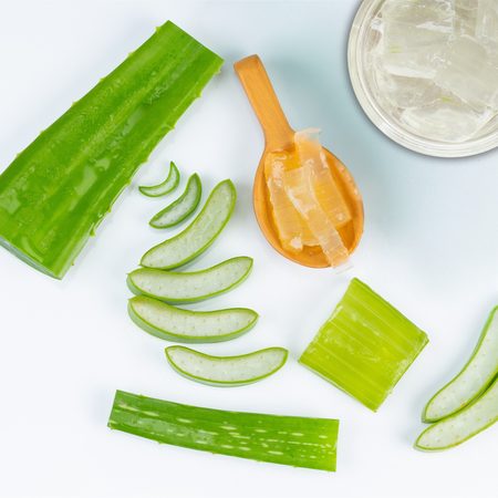 Aloe – Zázrak přírody v korejské a japonské kosmetice