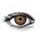 Amazon Brown Colored Contact Lenses (1 pair)