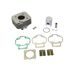 CILINDER KIT ATHENA 071800 STANDARD BORE (WITH HEAD) D 40 MM, 50 CC