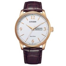 Citizen CLASSIC BM8553-16AE