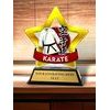 Mini Star Karate Trophy