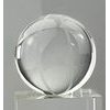 Pooler Basketball Crystal Award