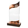 United Acrylic Wood Classic Darts Trophy