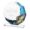 Hopper Carp Fishing Glass Award