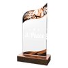 United Acrylic Wood Classic Martial Arts Trophy