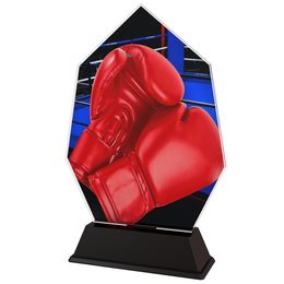 Roma Boxing Gloves Trophy