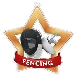 Fencing Mini Star Bronze Medal