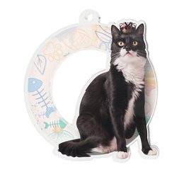 Rio Cat Show Medal