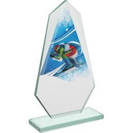 Levita Skiing Color Glass Award