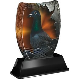 Iceberg Pigeon 2 Trophy