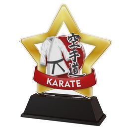 Mini Star Karate Trophy