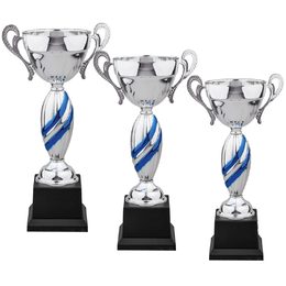 Silver and Blue Stripes Cup