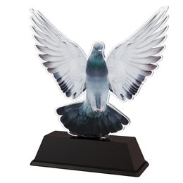 Ostrava Pigeon Racing Trophy