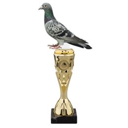 Pigeon Acrylic Top Trophy