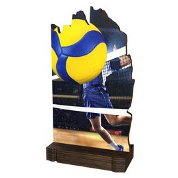 Shard Volleyball Eco Friendly Wooden Trophy