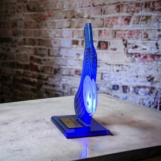 Cannes Printed Acrylic Floorball Trophy