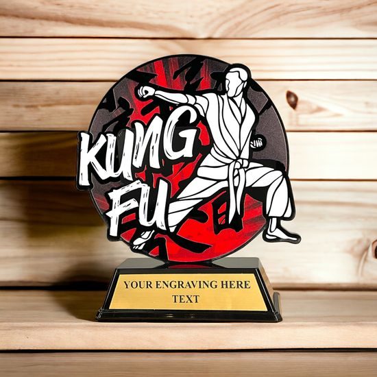 Roswell black acrylic Kung Fu trophy