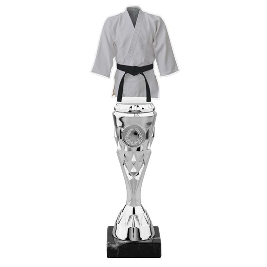 Silver Martial Arts Acrylic Top Trophy
