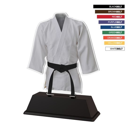 9 Belt Color Martial Arts Kimono Trophy