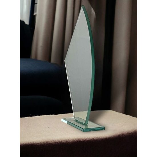 Snook Glass Award