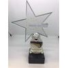 Farnsworth Custom Made Acrylic Award