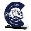 Cantu Deluxe Custom Printed Players Player Football Trophy