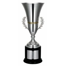 De Rossi Silver Plated Metal Award